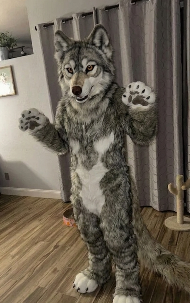 Custom wolf fursuit